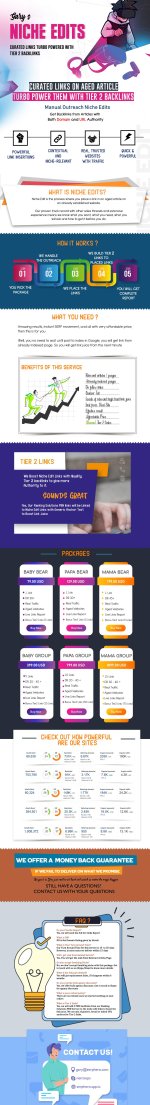 Niche Edits BST - Mar 2024 (Small).jpg